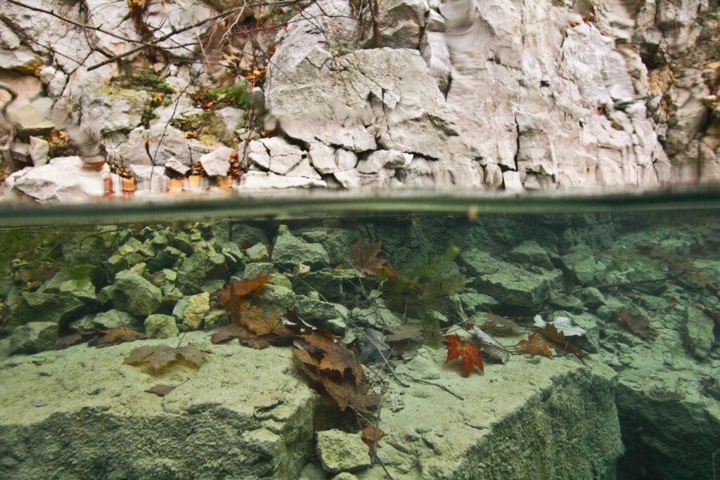 Zakrzówek zdjęcie pod wodą i powierzchnia
