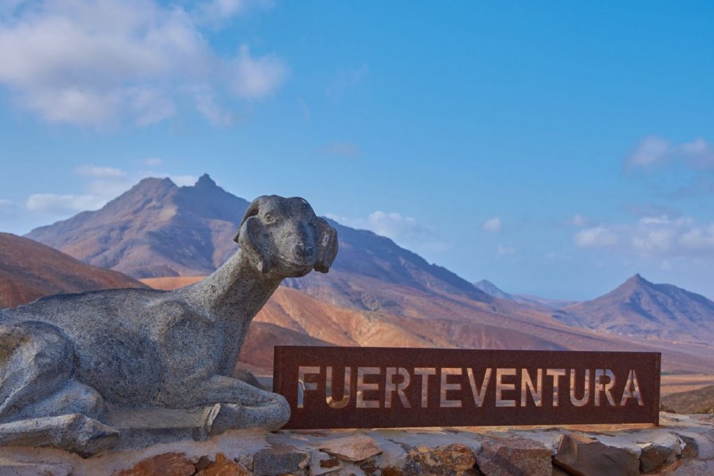 koa cyzli symbol wyspy Fuerteventura