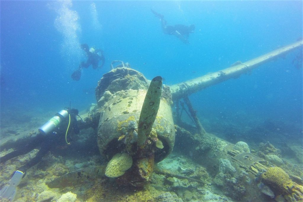 wrak hydroplanu Jake wodnosamolotu zatopionego podczas II wojny światowej u wybrzeży Palau