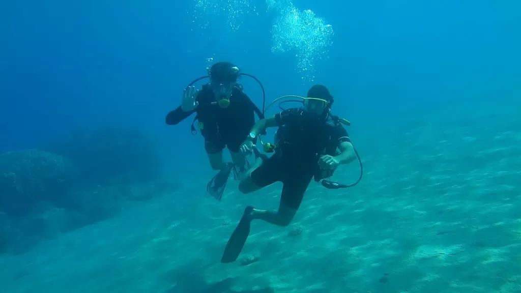 Nurkowanie w Grecji dwoje nurków pod wodą