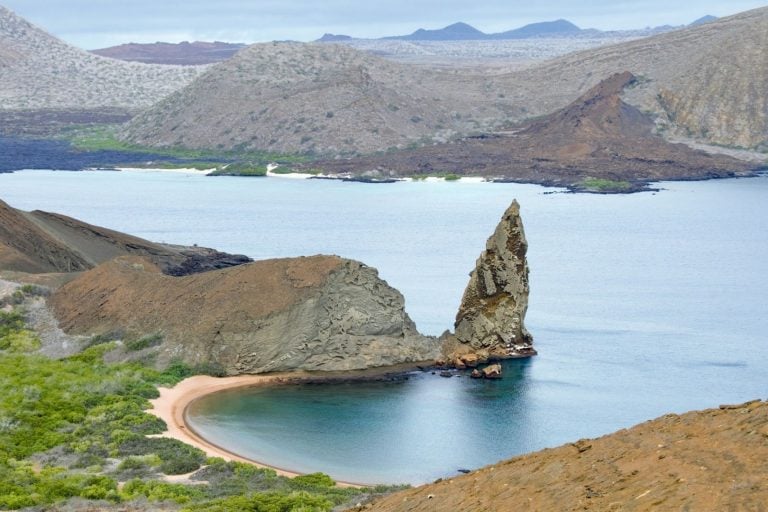 Nurkowanie na Galapagos – wszystko, co musisz wiedzieć