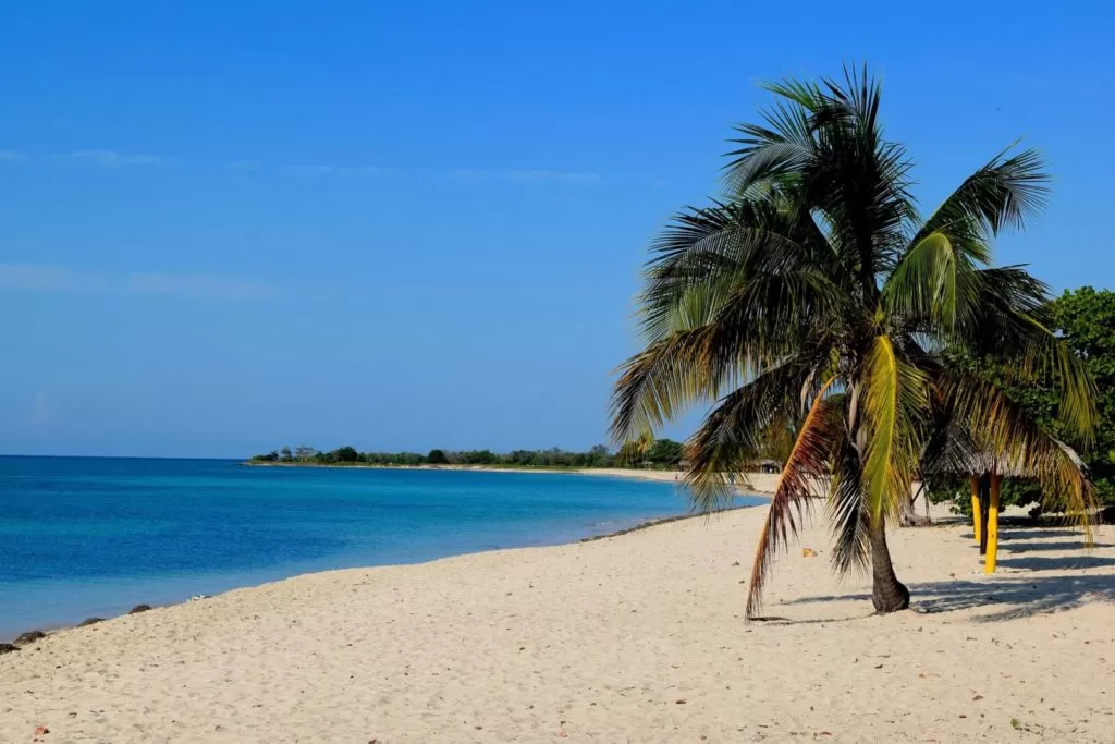 Kuba biała plaża z miękkim jak mąka piaskiem i palmami