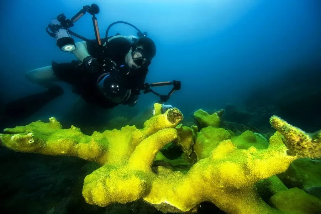 Nurkowanie na Kubie nurek przy rafie podziwia koralowce