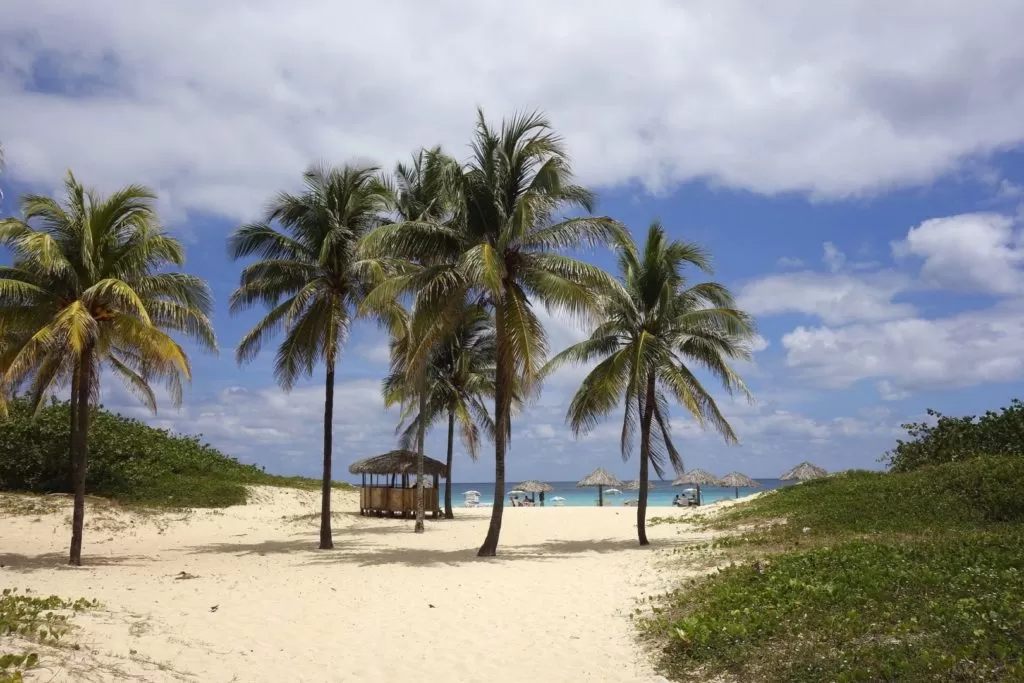 Karaibska plaża z białym piaskiem na Kubie